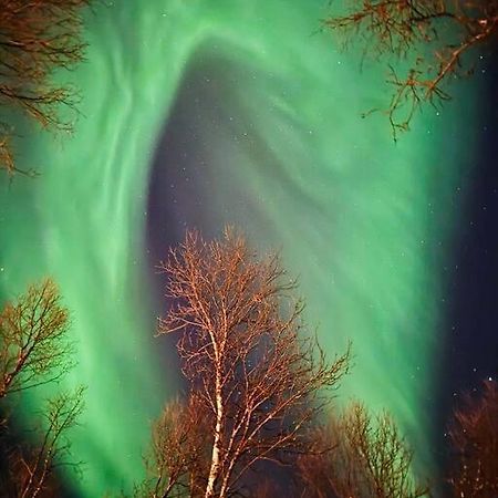 Leilighet I Nord Тромсё Экстерьер фото