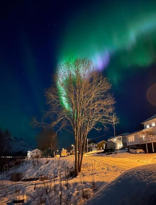 Leilighet I Nord Тромсё Экстерьер фото